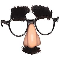 Rhode Island Novelty Child's Disguise Glasses, One Pair