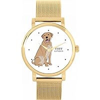 Beige Labrador Retriever Dog Watch
