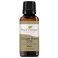 Plant Therapy Ginger Root CO2 Essential Oil 100% Pure, Undiluted, Natural Aromatherapy, Therapeutic Grade 30 mL (1 oz)