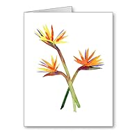 Bird of Paradise - Set of 10 Note Cards With Envelopes