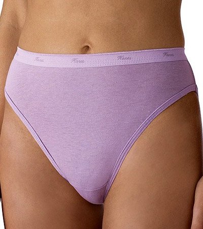 Hanes womens Hi-Cut Panties Pack, Moisture-Wicking High-Cut Brief Underwear (Colors May Vary)