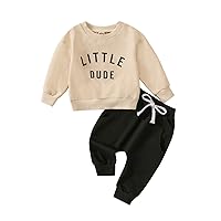 Baby Clothes 3-6 Months Boy Toddler Infant Baby Boy Girl Fall Clothes Letter Print Sweatshirt Pullover Tops +