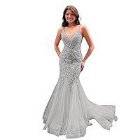 Lace Applique Prom Dress Mermaid Tulle Prom Prom Ball Gown Long V Neck Formal Dress for Women MN970