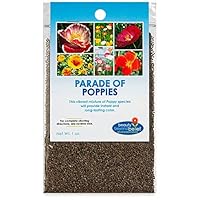 Parade of Poppy Wildflower Seeds - 1oz, Open-Pollinated Wildflower Seed Mix Packets, No Fillers, Annual, Perennial Wildflower Seeds, Year Round Planting - 1 oz