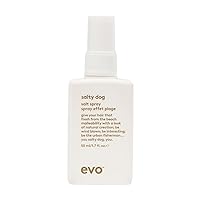 EVO Salty Dog Salt Spray - Hair Texture & Volume Spray - Beach Textured Hair, Natural Matte Finish