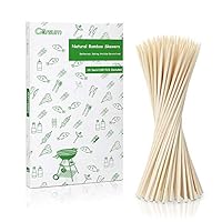 Natural BBQ Bamboo Skewers, 10