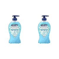 Softsoap Antibacterial Liquid Hand Soap Pump, Clean & Protect, Cool Splash - 11.25 Fl. Oz (Pack of 2)