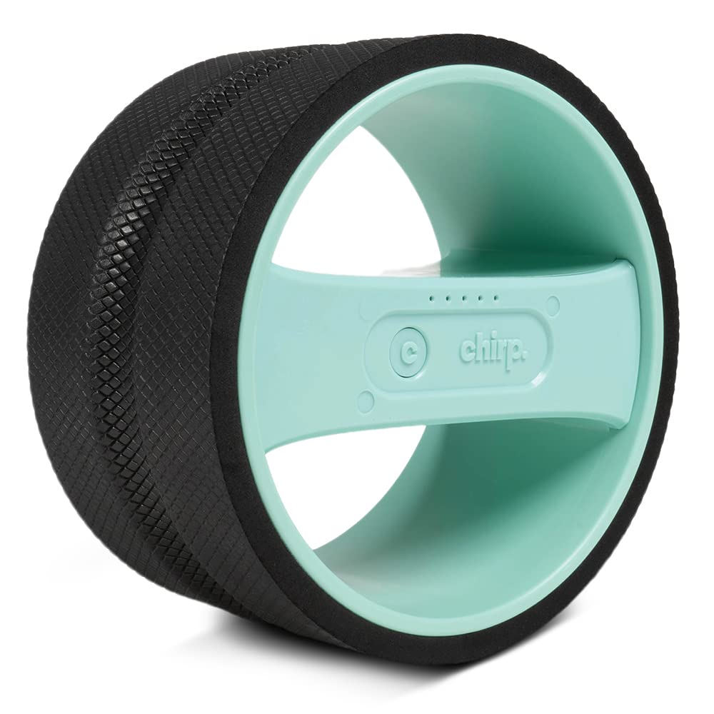 Chirp Wheel Pro, Vibrating Foam Roller for Back Pain Relief, Muscle Therapy, and Deep Tissue Massage - 10 Inch, Mint