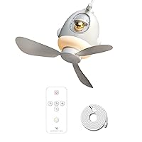 Ceiling Fan, 9.8inch USB Rechargeable Camping Fan with Hook/Remote Control/Light Ceiling Fan 8000mAh Silent Fan for Outdoor