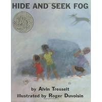 Hide and Seek Fog Hide and Seek Fog Paperback Hardcover