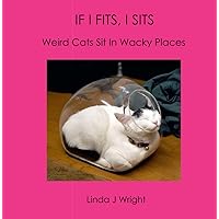 IF I FITS, I SITS: Weird Cats Sit In Wacky Places IF I FITS, I SITS: Weird Cats Sit In Wacky Places Paperback