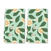 2 Pcs Kitchen Towels Green Tea with Lemon Kitchen Dish Towels Kitchen Dish Cloths Fast Drying Kitchen Rug Kitchen Decor for Home Cleaning Cooking Baking, 16 x 24 Inch