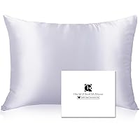 Silk Pillowcase Queen Size with Hidden Zipper, Ravmix Both Sides Mulberry Silk Pillowcase for Hair and Skin, 21Momme Soft Silk Cooling Pillow Case, 1PCS, 20×30inches, Silver Grey