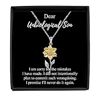 I'm Sorry Unbiological Son Necklace Pardon Gift Meaningful Present For The Mistakes I Have Made Quote Pendant Jewelry Sterling Silver With Box