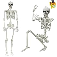 Evinis 5.4ft/165cm Halloween Realistic Full Body Skeleton Life Size Human  Bones with Movable Joints for Halloween Party Prop Decoration