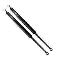 Atlas LS10202-2 Trunk Lid Lift Support compatible with 01-06 BMW 525I