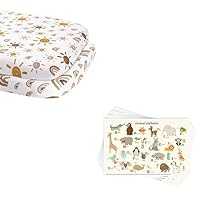 Babebay 2 Pack Bassinet Sheet and 40 Pack Disposable Placemats Bundle