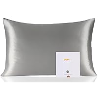 100% Pure Mulberry Silk Pillowcase for Hair and Skin Health,Soft and Smooth,Both Sides Premium Grade 6A Silk,600 Thread Count,with Hidden Zipper,1pc (Queen 20''x30'', Gray)