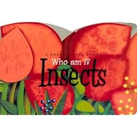 Insects Insects Board book