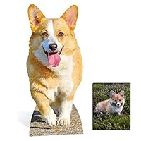 Fan Pack - Royal Corgi Dog Lifesized Mini Cardboard Cutout/Standup/Standee - Includes 8x10 Star Photo