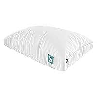 Sleepgram Bed Support Adjustable Hypoallergenic Cool Sleeping Loft Soft Pillow with Removeable Microfiber Cover, Queen Size, White