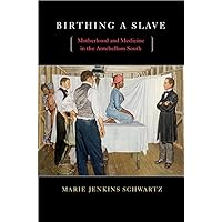 Birthing a Slave: Motherhood and Medicine in the Antebellum South Birthing a Slave: Motherhood and Medicine in the Antebellum South Paperback Hardcover