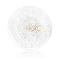 1PC Crystal Ball Dandelion Paperweight Dreamball Unique Resin Paperweight Gifts for Children Friends 9CM