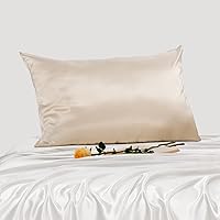 100% Mulberry Silk Pillowcase 25 Momme, Both Sides Real Silk Pillow Cases Covers for Hair and Skin (Standard 20