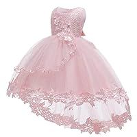 Princess Dresses Girls Sleeveless Tulle Prom Dress Lace Appliques Wedding Kids Prom Bow-Knot Ball Gowns Light Pink