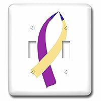 3dRose Bladder cancer awareness ribbon - Light Switch Covers (lsp_352936_2)