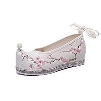 Spring New Hanfu Shoes Women's Embroidered Shoes with Chinese Elements Women's Wedding Shoes