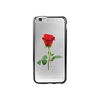 Cellet Proguard Case for iPhone 6 - Non-Retail Packaging - Red Rose/Clear