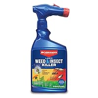 Lawn Weed & Insect Killer, Ready-to-Spray, 32 oz