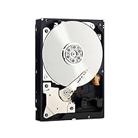 WD RE SAS 4 TB Enterprise Hard Drive: 3.5 Inch, 7200 RPM, SAS, 32 MB Cache - WD4001FYYG