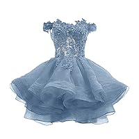 Tsbridal Women's Off The Shoulder Organza Short Prom Dress Lace Applique Junior Formal Cocktail Party Gown