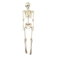 Scary Halloween Skeleton Animal Bone Prop for Front Lawn Horror Haunted House Theme Party Decor
