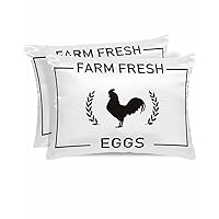 Satin Pillowcase Farmhouse Animal Silk Satin Decorative Cushion Covers Chicken Eggs Country Style Soft Breathable Smooth Cool Sleep Pillow Covers for Hair Skin with Hidden Zipper 20x30in Set of 2