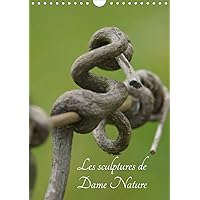 Les sculptures de Dame nature 2020: Toutes les beautee de la nature sous vos yeux (Calvendo Art) (French Edition)