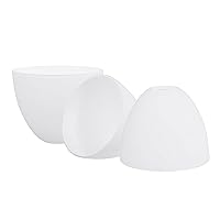 Aspen Creative 23649-73-3 Frosted Glass Shade with White Paint, 1-5/8