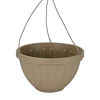 12 Inch Terra Roma Hanging Planter for Indoor Plants - Round Plant Hanging Basket with Removable Saucer (Sandstone, 12