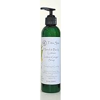 Lemon Ginger Snap Hand and Body Lotion - light and penetrating with nourishing Shea butter and Hemp seed Oil (8oz)