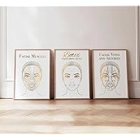 Anti Wrinkles Treatment 3 Pieces Bo-to-x Inje-ction Sites Poster Prints Wall Art Canvas Painting Framed Artwork for Facial Ana-tomy Facial Treatment Decoration with Inner Frame