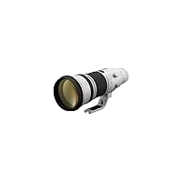 Canon EF 500mm f/4L is II USM Lens