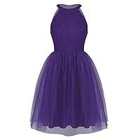 Women's Halter Neck A Line Homecoming Dress Lace Embroidered Floral Cocktail Dresses