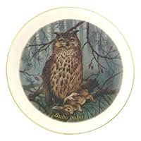 Great Horned Owl Porcelain Plate For all Animal Lovers Size 7.61 inches