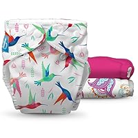 3 Pack - Reusable Cloth Diapers One Size - Hummingbirds