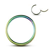 WBRWP 316L Stainless-Steel Hinged Nose Rings Hoop : 20G 18G 16G 14G Womens and Mens Body Pierecing Ring Segment Ring Lip Rings Nose Helix Cartilage Rook EarringsDiameter 6mm 8mm 10mm 12mm