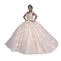 V Neck 3D Floral Flower Embroidered Mexican Quinceanera Wedding Party Dresses with Train Tulle Sweet 16
