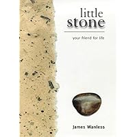 Little Stone Little Stone Hardcover