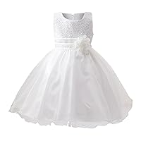 3-10 Years Children Dresses for Weddings Solid Color Sleeveless Sequins Flower Mesh Dress Party Birthday School